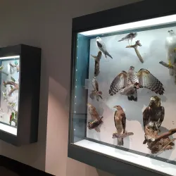 Museum and Art Gallery of the Northern Territory - Darwin