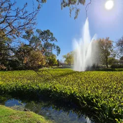 Deniliquin Botanic Gardens - Deniliquin NSW