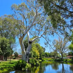 Deniliquin Botanic Gardens - Deniliquin NSW