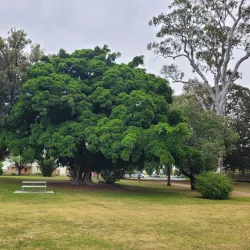 Deniliquin Botanic Gardens - Deniliquin NSW