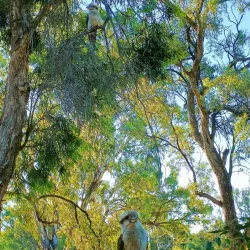 Deniliquin Golf Club - Deniliquin NSW