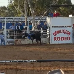 Deniliquin Racecourse - Deniliquin NSW
