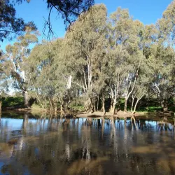 Edward River - Deniliquin NSW