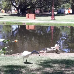 Edward River - Deniliquin NSW