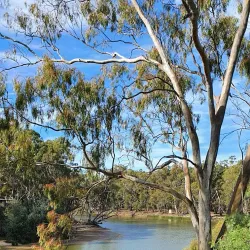 Edward River - Deniliquin NSW