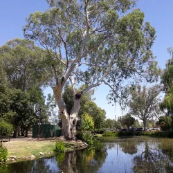 Edward River - Deniliquin NSW