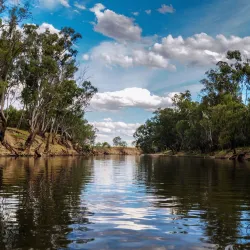 Edward River - Deniliquin NSW