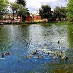 Edward River - Deniliquin NSW