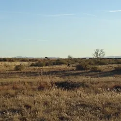 Denver Nature Reserve - Denver