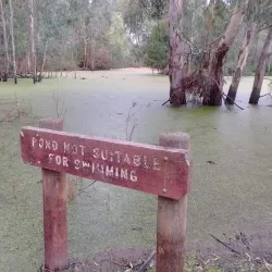Birrarrung Park - Doncaster