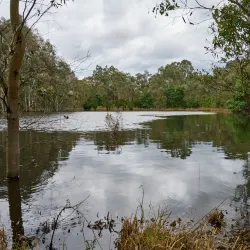 Birrarrung Park - Doncaster