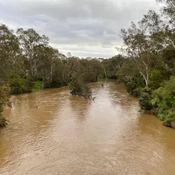 Birrarrung Park - Doncaster
