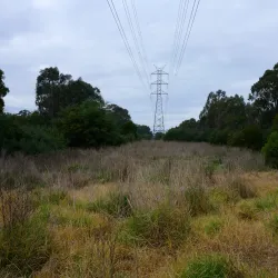 Birrarrung Park - Doncaster