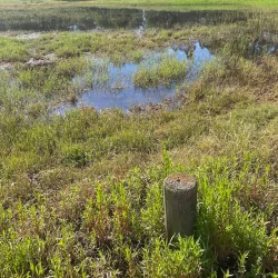 Birrarrung Park - Doncaster