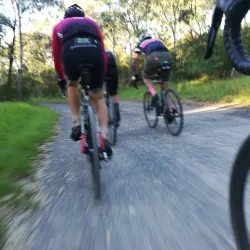 Birrarrung Park - Doncaster