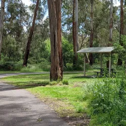 Mullum Mullum Creek Linear Park - Doncaster