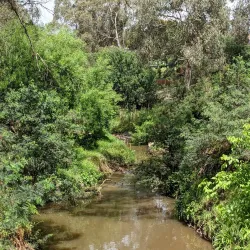 Mullum Mullum Creek Linear Park - Doncaster