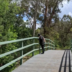 Mullum Mullum Creek Linear Park - Doncaster