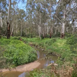 Mullum Mullum Creek Linear Park - Doncaster