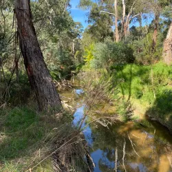 Mullum Mullum Creek Linear Park - Doncaster