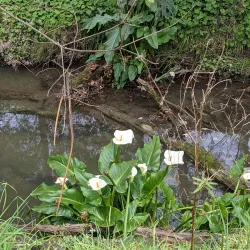 Mullum Mullum Creek Linear Park - Doncaster