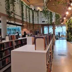 Double Bay Library - Double Bay