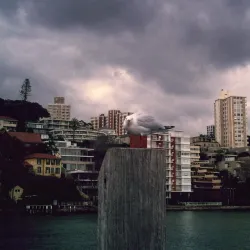 Double Bay Marina - Double Bay