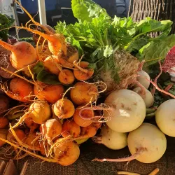 Double Bay Market - Double Bay