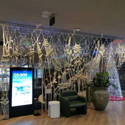 Double Bay Shopping Precinct - Double Bay