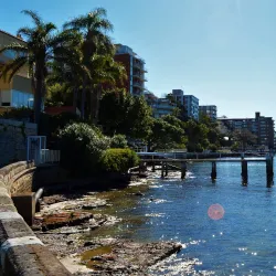 Steyne Park - Double Bay