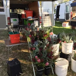 Dubbo Farmers Market - Dubbo
