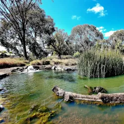 Dubbo Regional Botanic Garden - Dubbo
