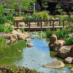 Dubbo Regional Botanic Garden - Dubbo