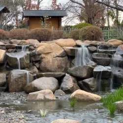 Dubbo Regional Botanic Garden - Dubbo
