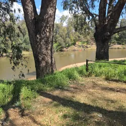 Macquarie River Walk - Dubbo