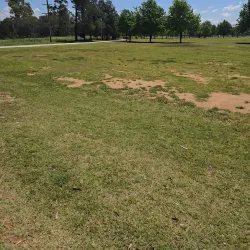 Macquarie River Walk - Dubbo