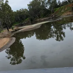 Macquarie River Walk - Dubbo