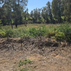 Macquarie River Walk - Dubbo