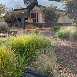 Taronga Western Plains Zoo Safari Lodge - Dubbo