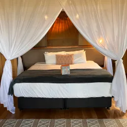 Taronga Western Plains Zoo Safari Lodge - Dubbo