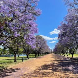 Victoria Park - Dubbo