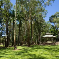 Central Highlands Regional Botanic Gardens - Dysart