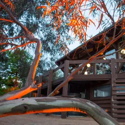 Eltham Community and Reception Centre - Eltham