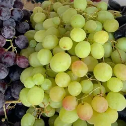 Eltham Farmers Market - Eltham