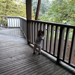 Eltham Library - Eltham