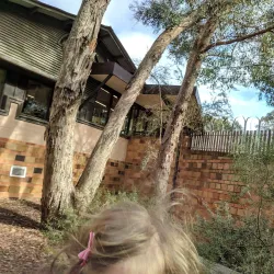 Eltham Library - Eltham