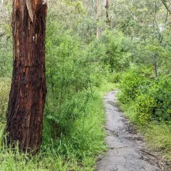 Eltham Lower Park - Eltham