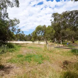 Eltham Lower Park - Eltham