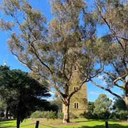 Eltham War Memorial - Eltham