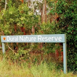 Dural Regional Park - Epping